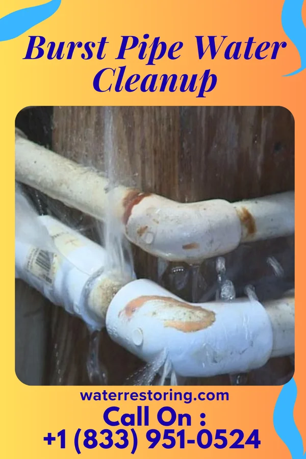 Burst Pipe Water Cleanup in Rhodell, WV