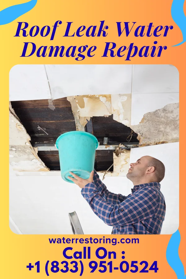 Roof Leak Water Damage Repair in Rhodell, WV