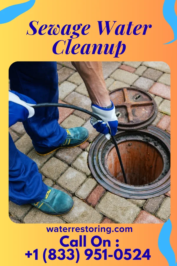 Sewage Water Cleanup in Rhodell, WV