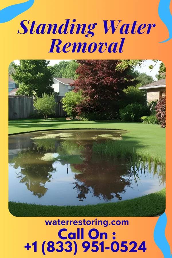Standing Water Removal in Rhodell, WV